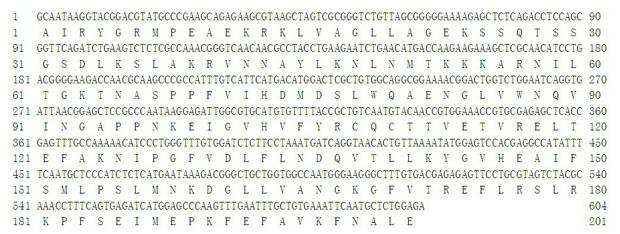 Inducer for activating expression of fish lipid metabolism control gene and application thereof