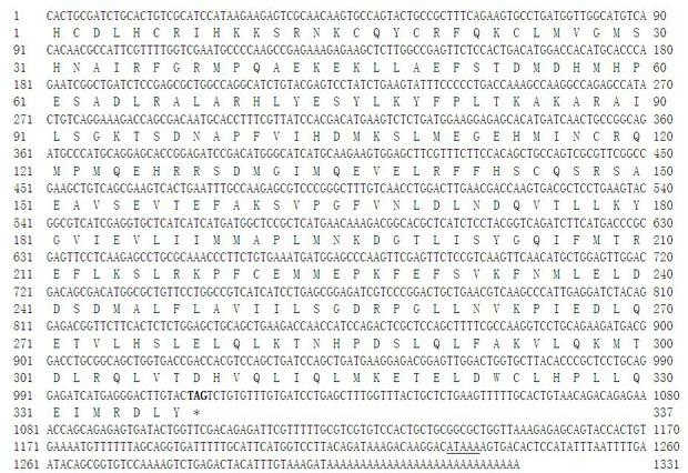 Inducer for activating expression of fish lipid metabolism control gene and application thereof