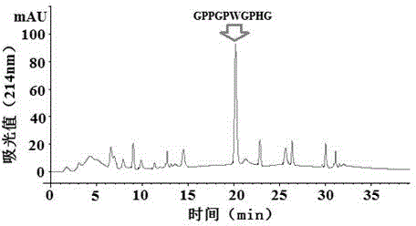 Iron-chelating collagen peptide of hairtail bone