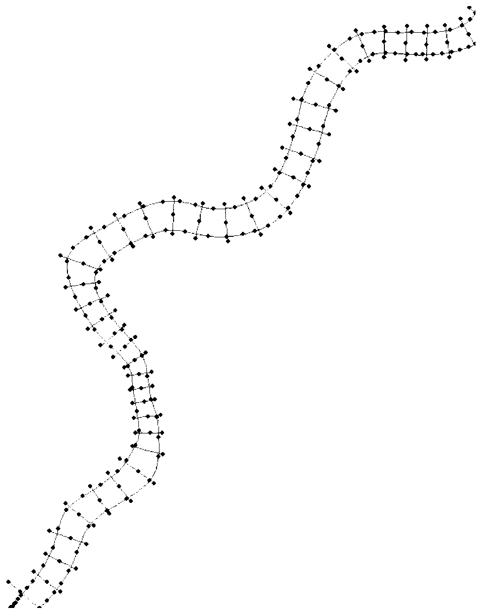 Grid drawing of main and tributary intersections in complex river network and Jiangxinzhou grid processing method