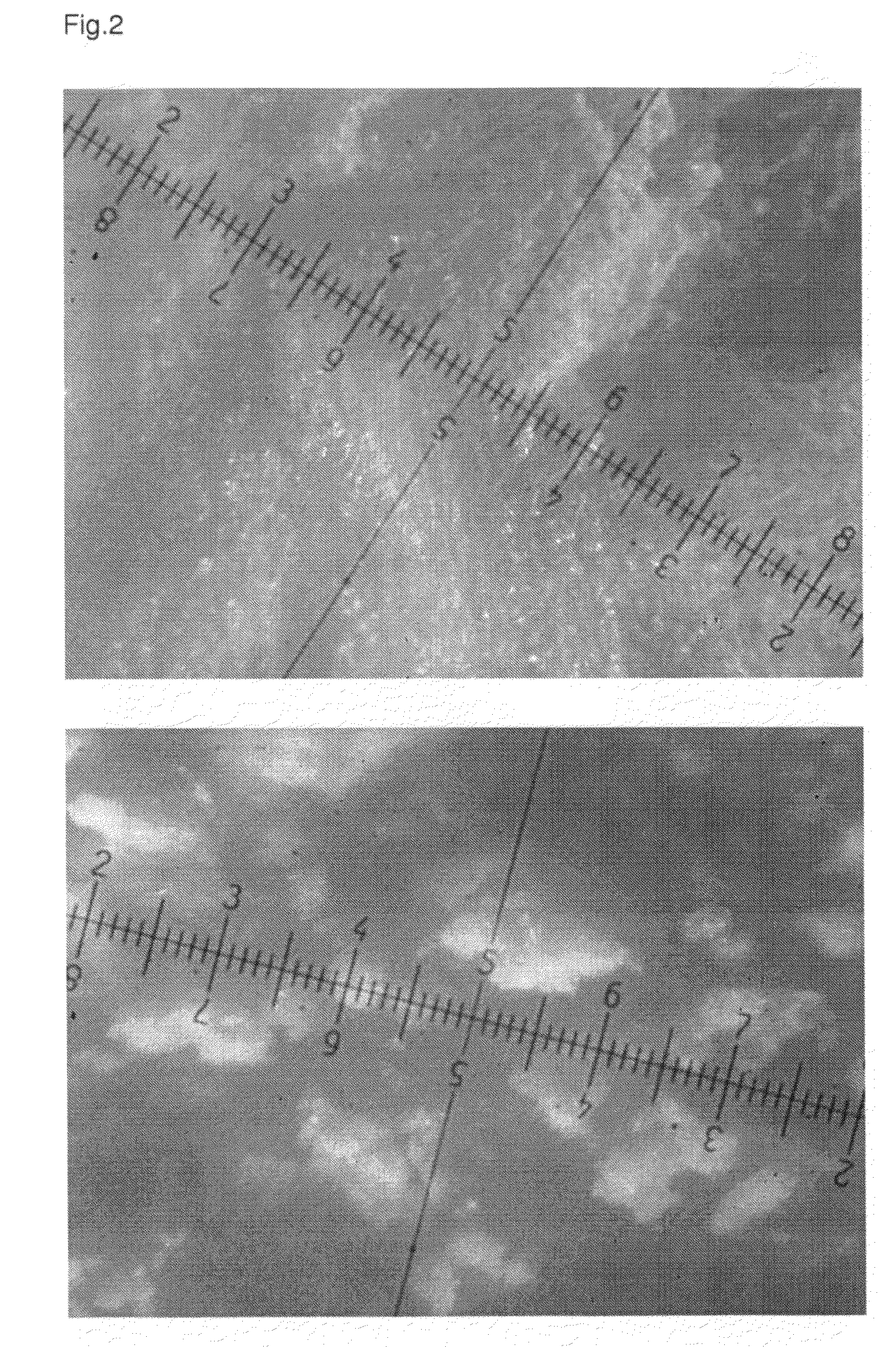 Highly porous, fast-disintegrating solid dosage form and its way of manufacturing comprising the preparation of a powder and a freezedrying step