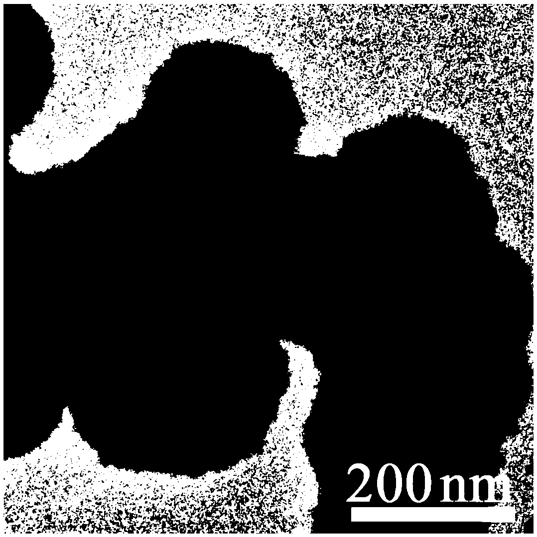 Fe nanometer dot @ BN nanospherecompound and preparation method and application thereof