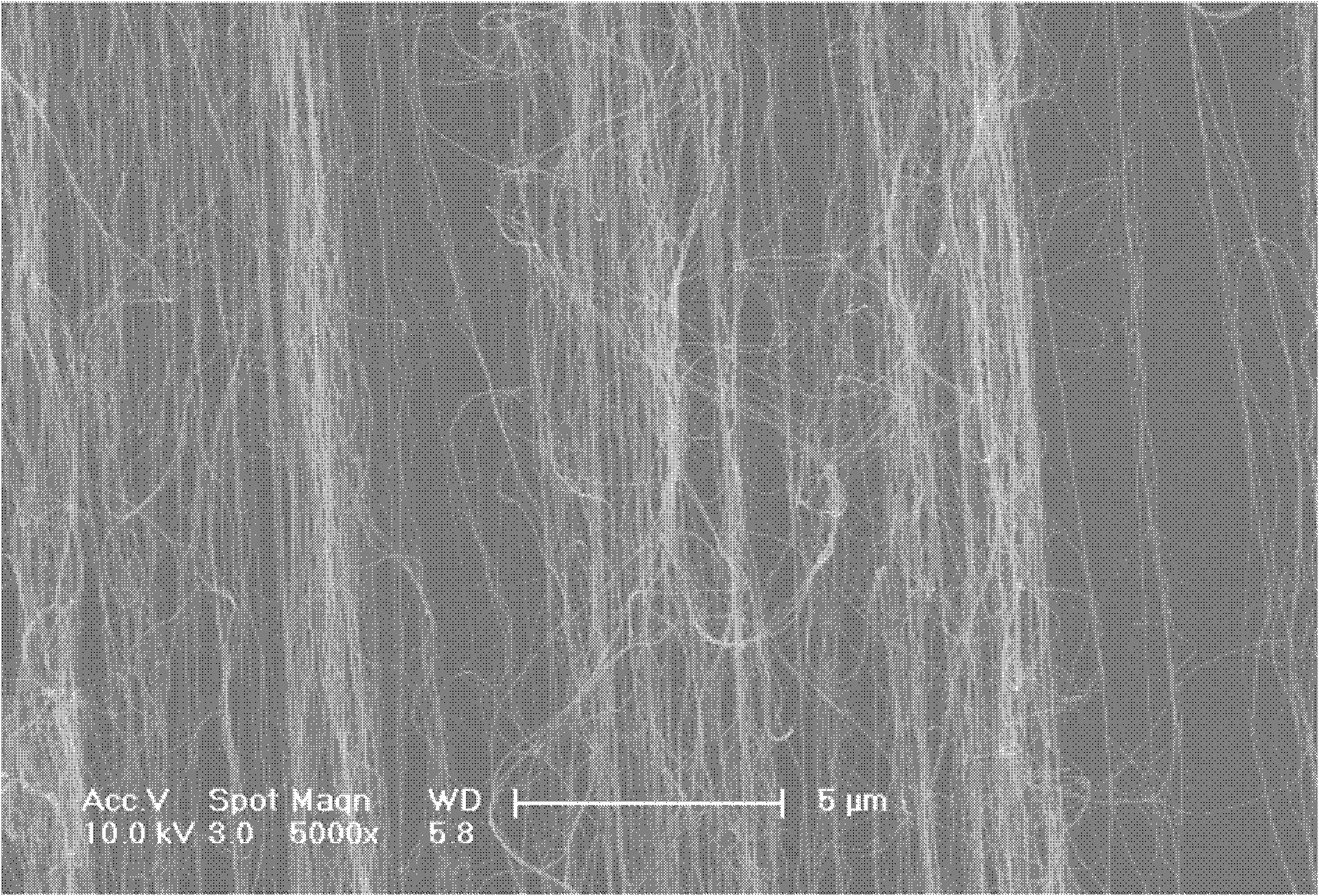 Carbon nanotube film and composite film based on same