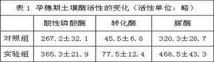 Biological, organic and inorganic compound fertilizer and preparation method thereof