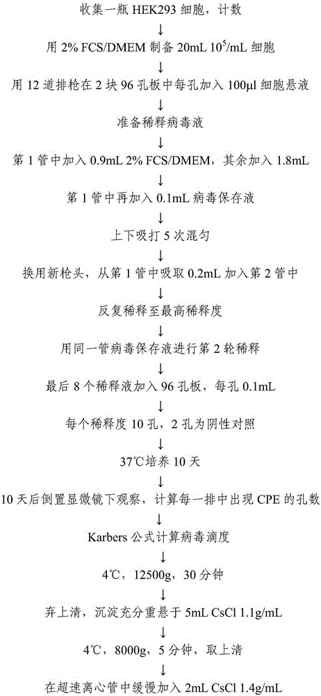 Recombinant oncolytic adenovirus expressing human interleukin 15 and construction method thereof