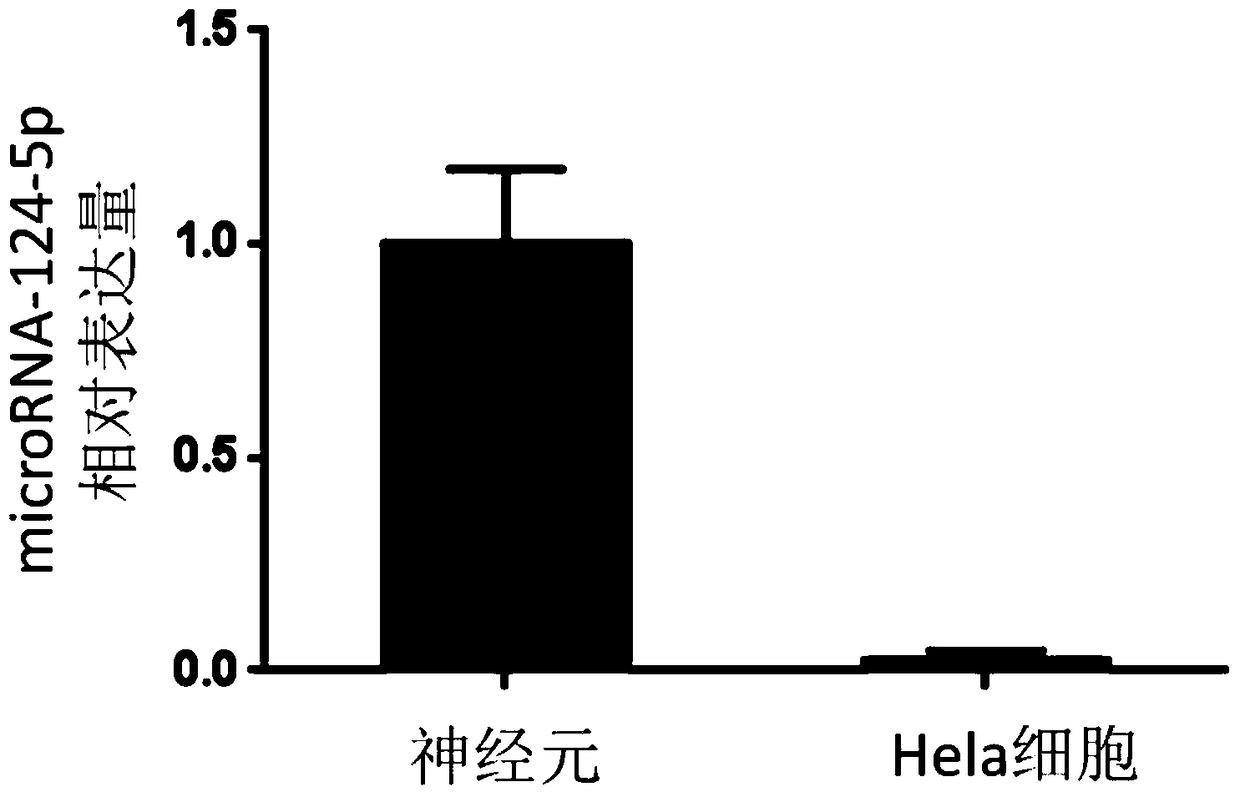 A quantitative detection method and kit for specifically detecting the expression level of mature microRNAs for the purpose of non-disease diagnosis