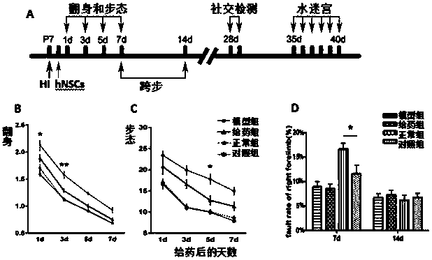 Cell subpopulation with therapeutic effect on brain injury diseases and preparation method thereof