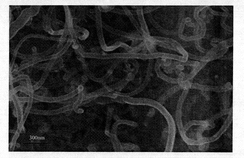 Electrochemical modification treatment method of carbon nanotubes