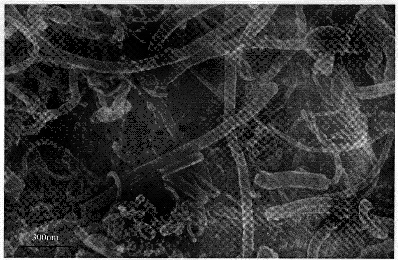 Electrochemical modification treatment method of carbon nanotubes