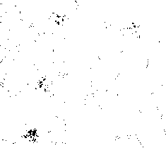 Stem cell spheroid induction culture solution and stem cell spheroid culture method