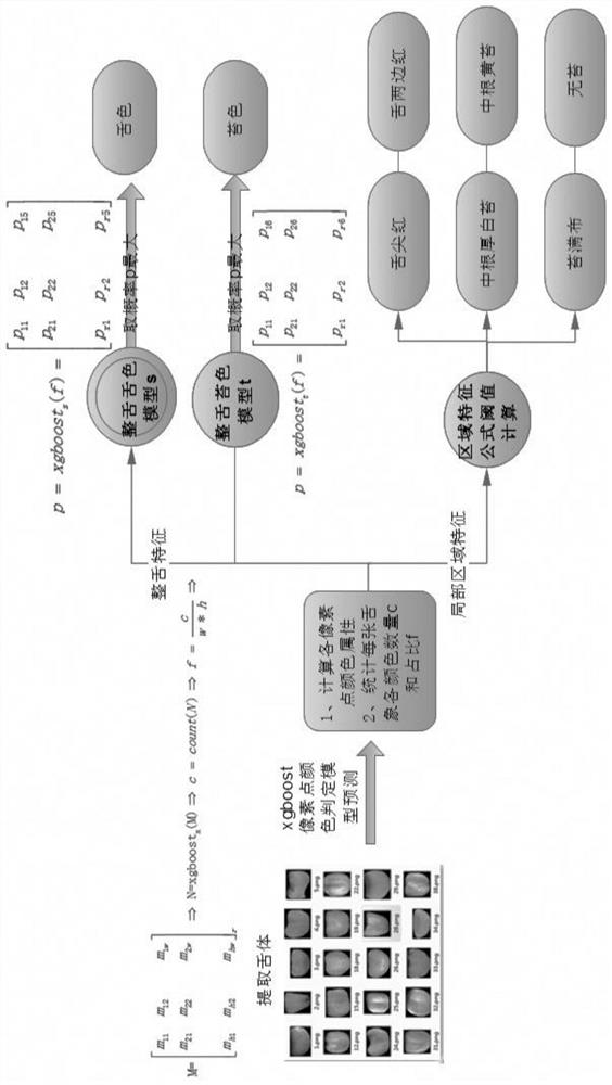 Quantitative analysis method of tongue color and fur color in traditional Chinese medicine based on machine learning