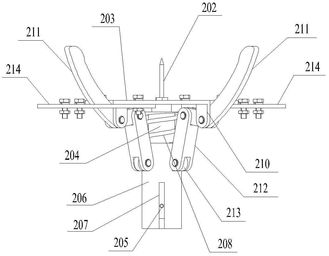 Tuber mustard peeling equipment and tuber mustard peeling method