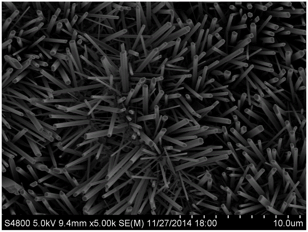 A kind of preparation method of cds/zno core-shell structure nanowire