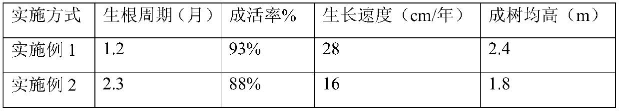 Method for planting Prunus cerasifera Ehrhar f. on plateau with elevation of 4000 metres above