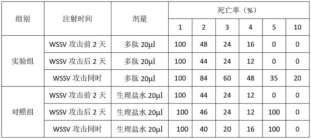 A prawn pcab7 protein and wssv envelope protein vp28 interaction blocker polypeptide