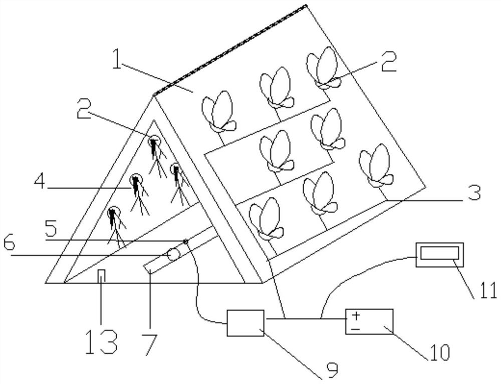 An atomization cultivation device with a root core electrode