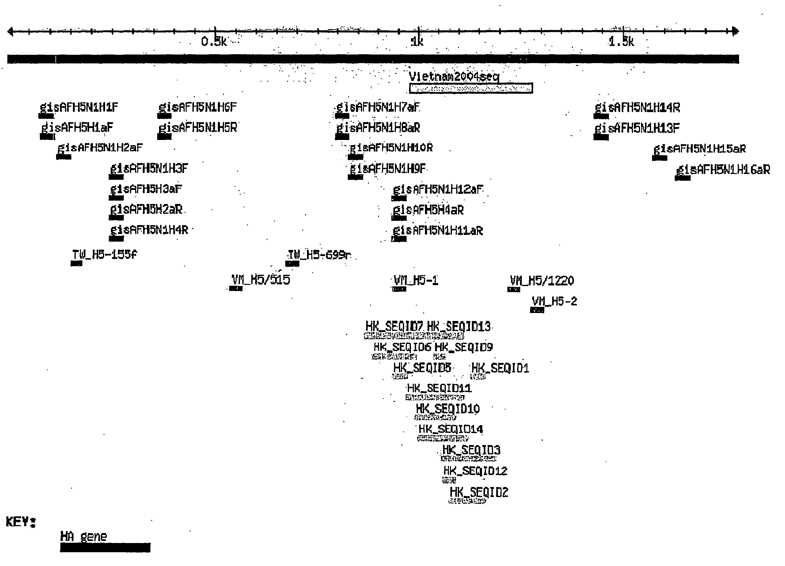 Diagnostic Primers and Method for Detecting Avian Influenza Virus Subtype H5 and H5n1