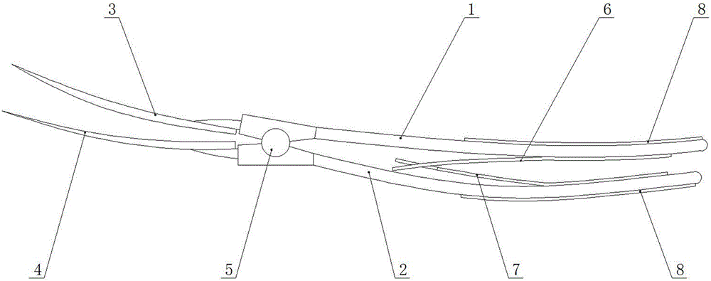 Mantis shrimp shelling device