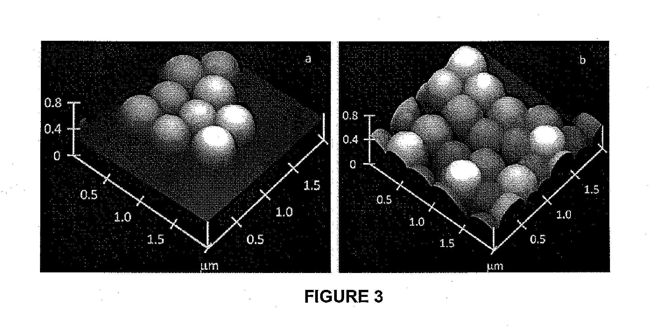 Amphiphobic Surfaces from Block Copolymers