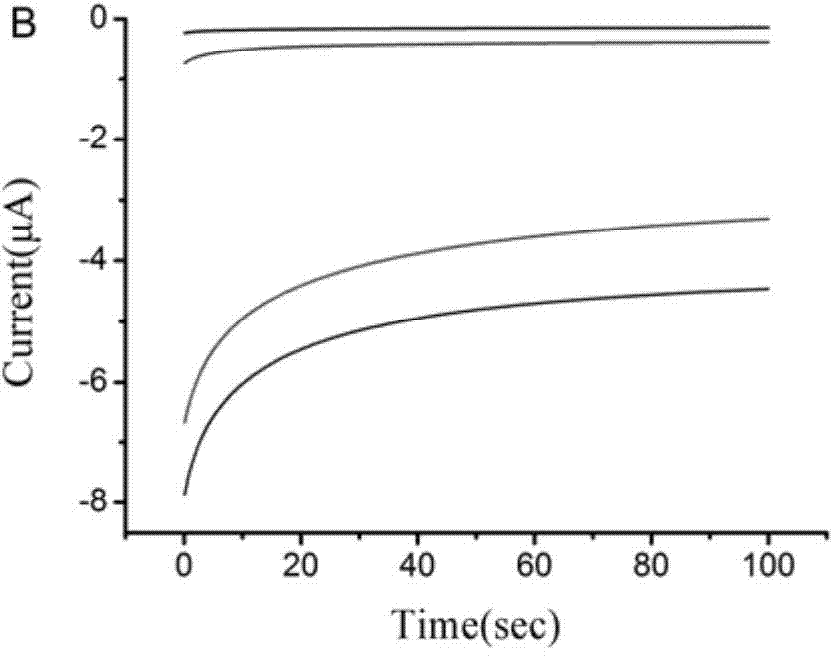 DNA (deoxyribonucleic acid) three-dimensional nano-structure artificial enzyme precursor, and preparation and application thereof