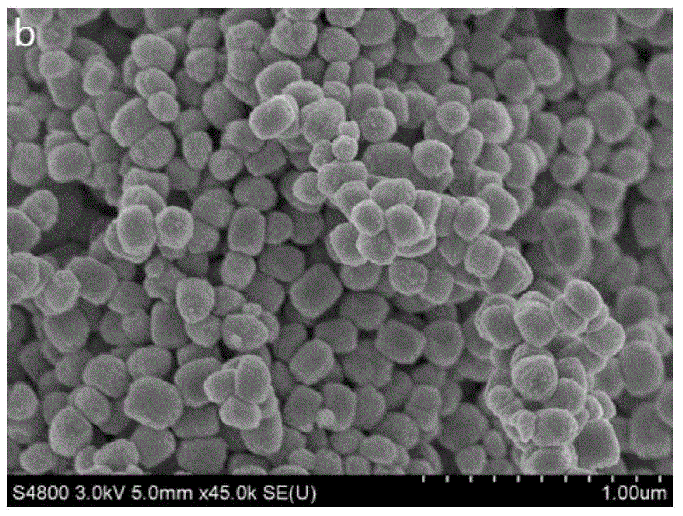 Cocoon-shaped TbPO4 powder with good luminescence property and preparation method thereof