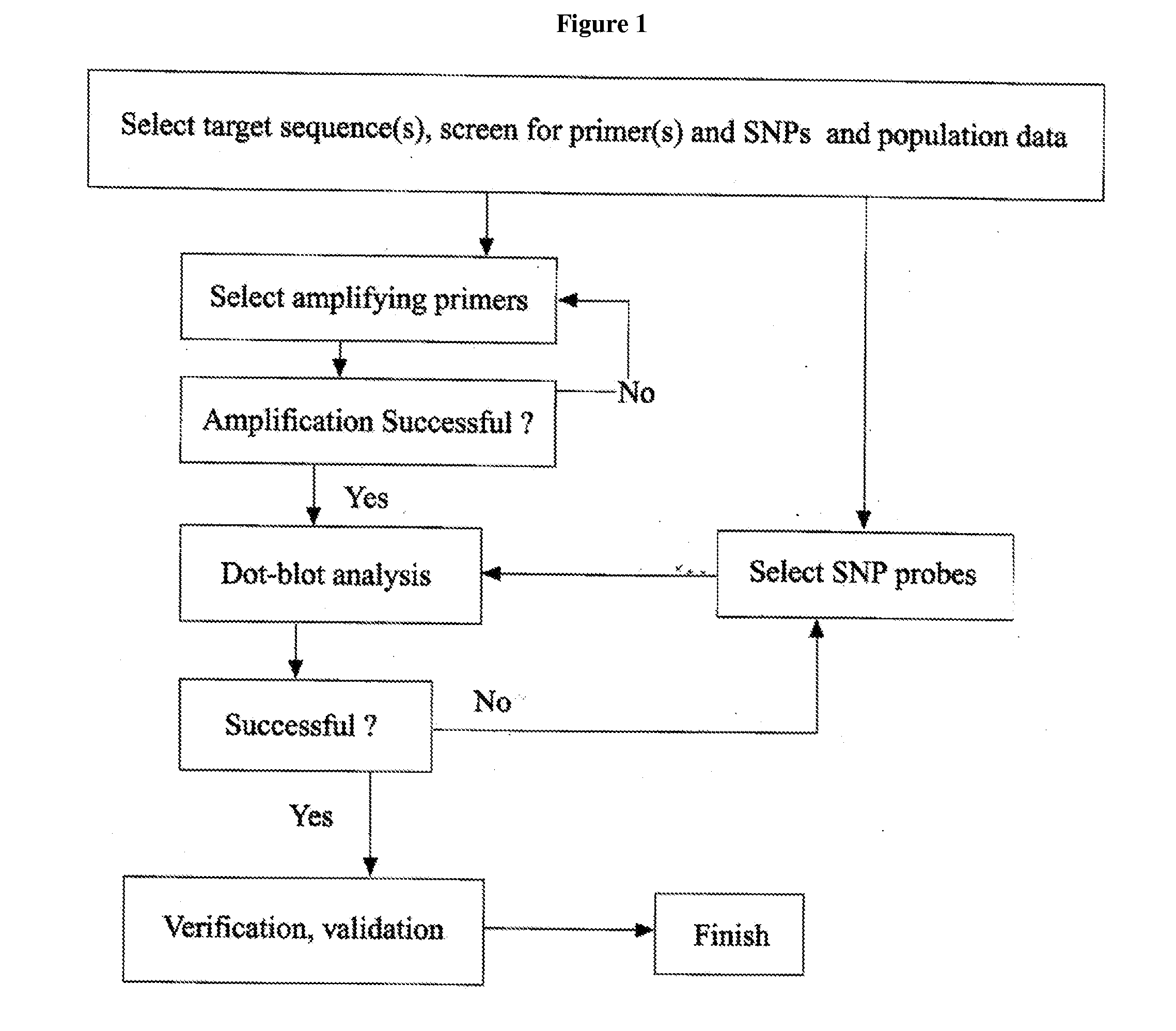 Rapid genotyping analysis for human papillomavirus and the device thereof