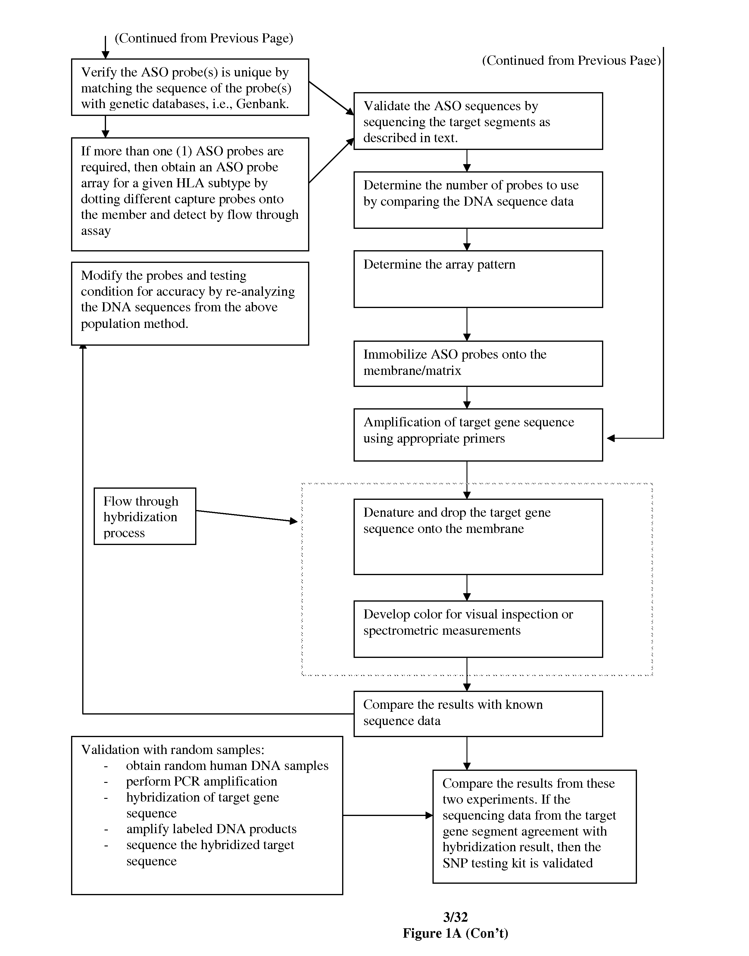 Rapid genotyping analysis for human papillomavirus and the device thereof