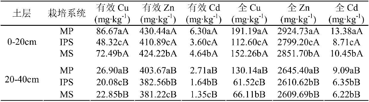 Sedum plumbizincicola-phyllostachys praecox intercropping ecological remediation of heavy metal-contaminated soil