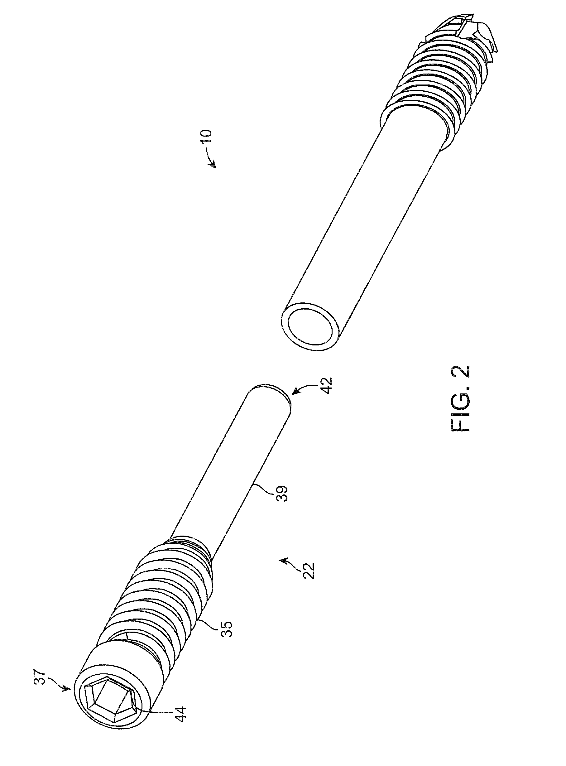 Collapsible bone screw apparatus