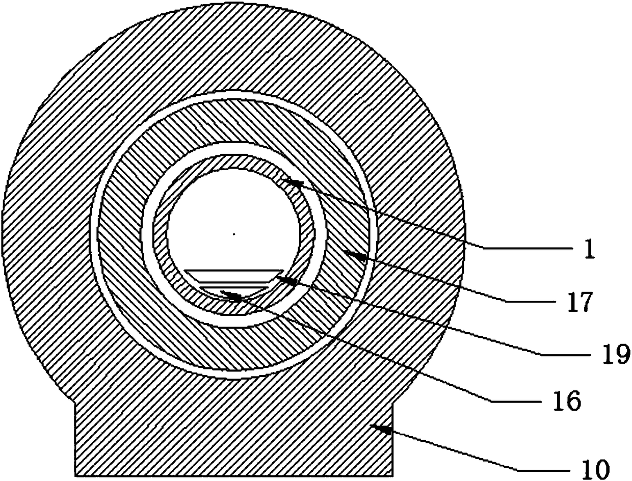 MRI body coil structural assembly