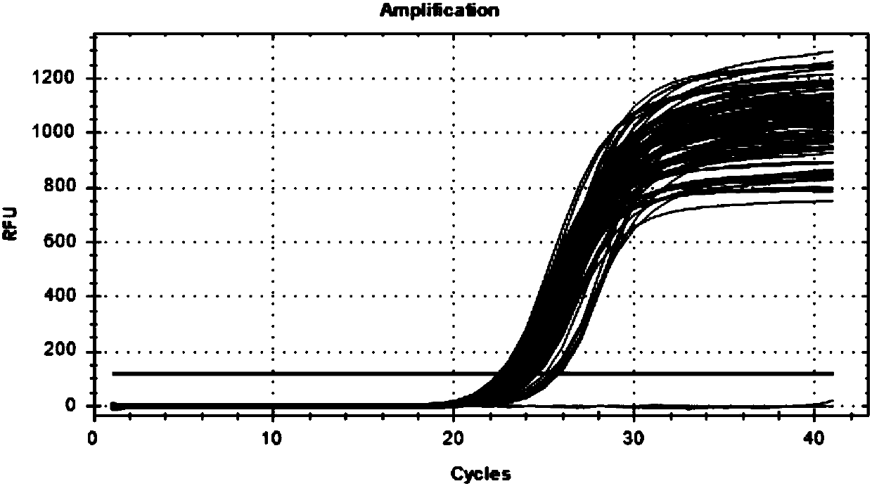 Method for detecting jinnan cattle IGFIR gene CNV mark and application of method