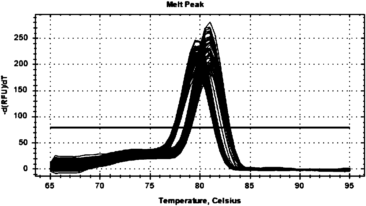 Method for detecting jinnan cattle IGFIR gene CNV mark and application of method