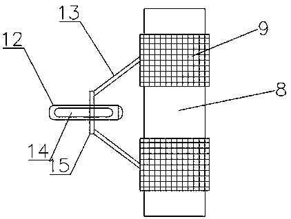 Sticky rice washing device with function of rice washing water treatment