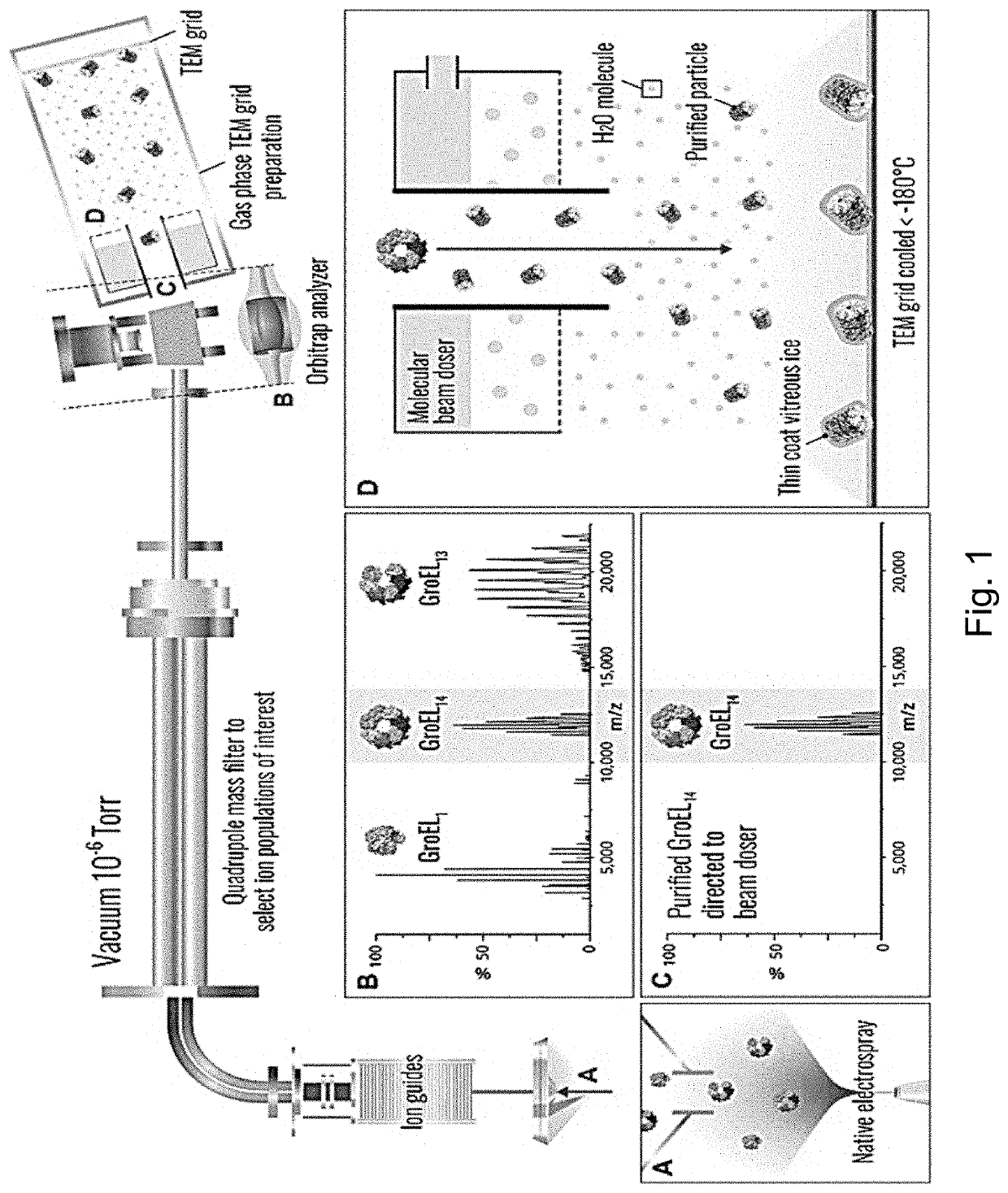 Retractable Ion Guide, Grid Holder, and Technology for Removal of Cryogenic Sample from Vacuum