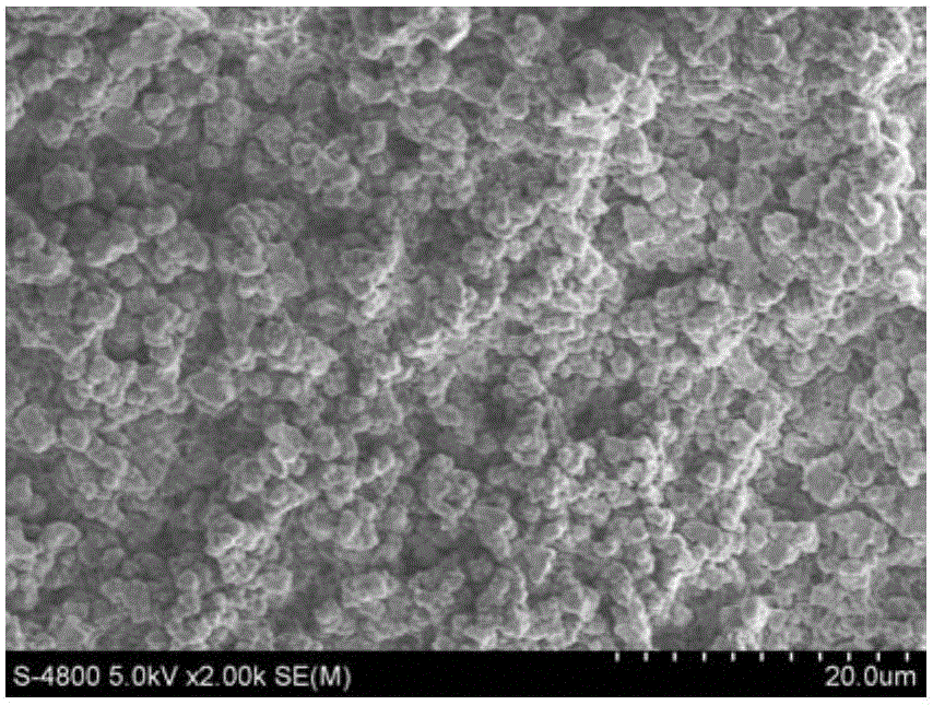 Production method and use of anion exchange online purification solid phase extraction monolithic column