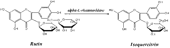 Application of alpha-L-rhamnoside enzyme in directional synthesis of isoquercitrin by biological conversion of rutin