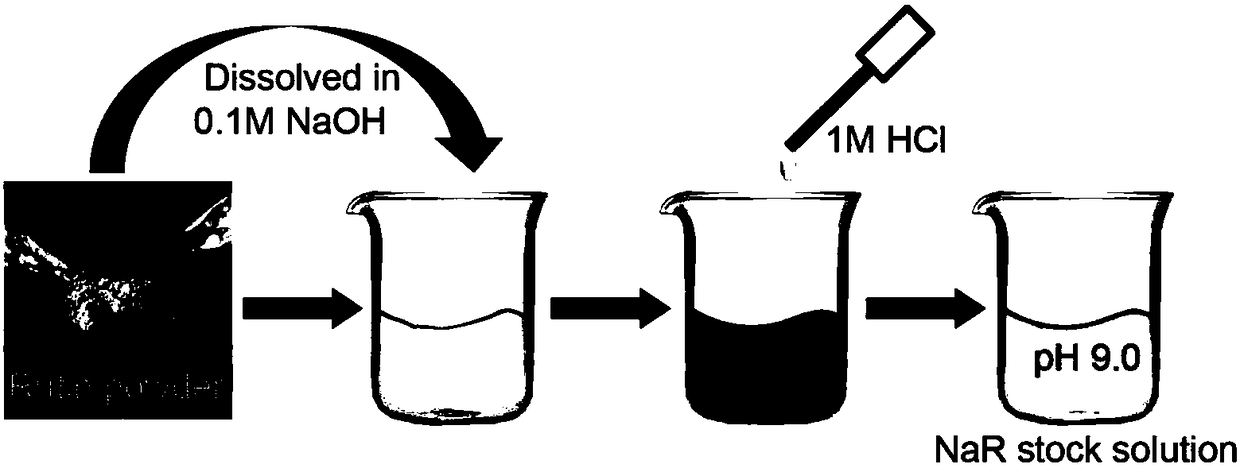 Medicine composition for preventing and controlling AD (Alzheimer Disease)