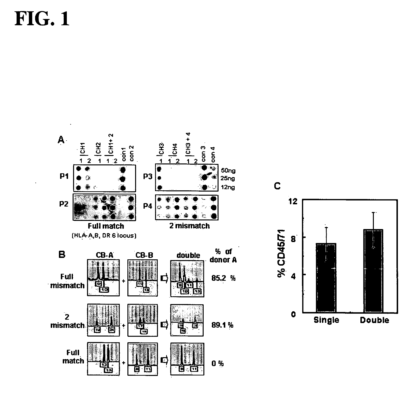 Method of using mesenchymal stromal cells to increase engraftment