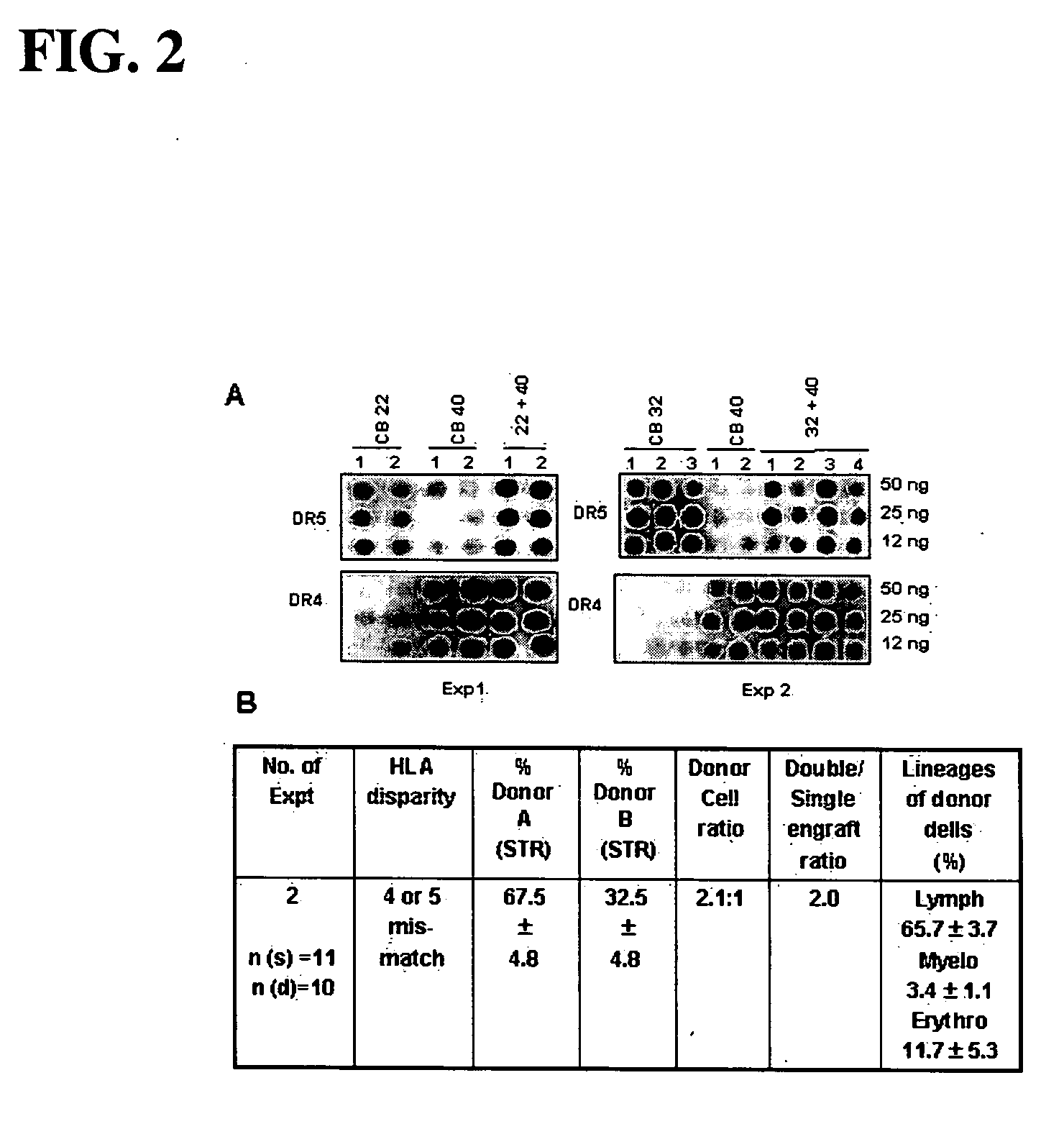 Method of using mesenchymal stromal cells to increase engraftment