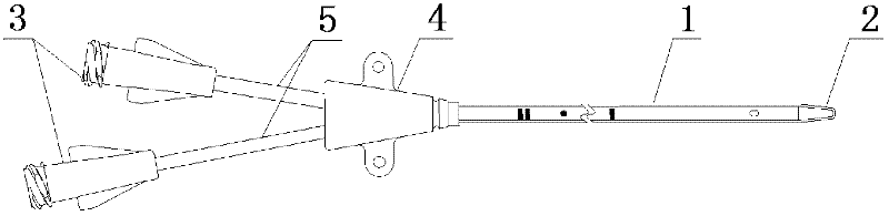 Anti-infection venous catheter and preparation method thereof