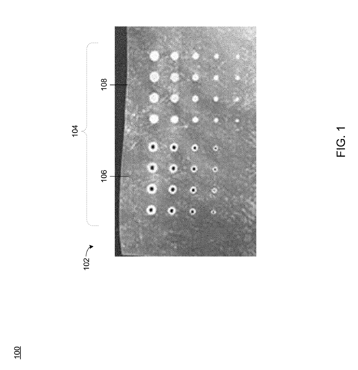 Tissue grafts with pre-made attachment points