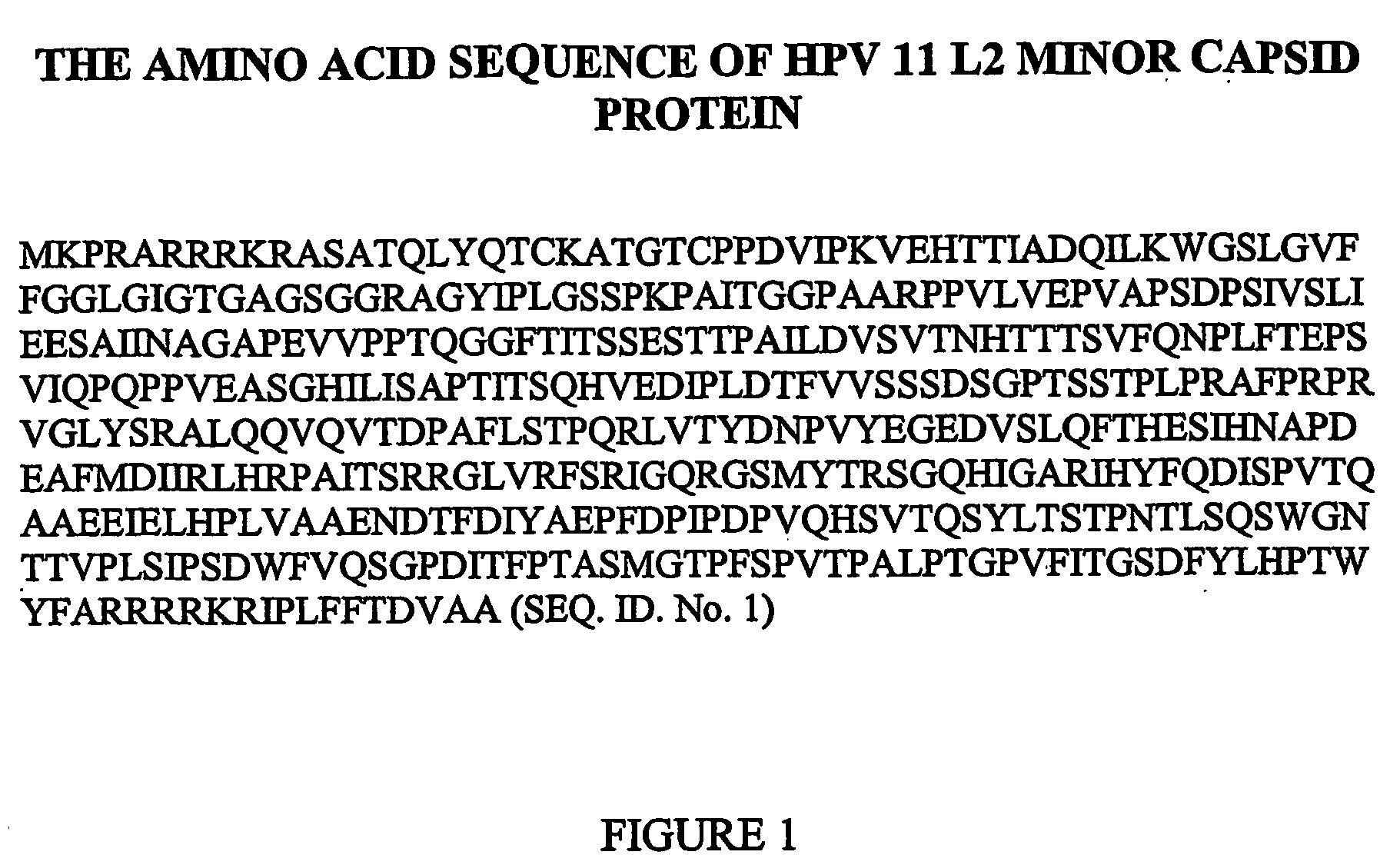 Therapeutic and prophylactic vaccine for the treatment and prevention of papillomavirus infection