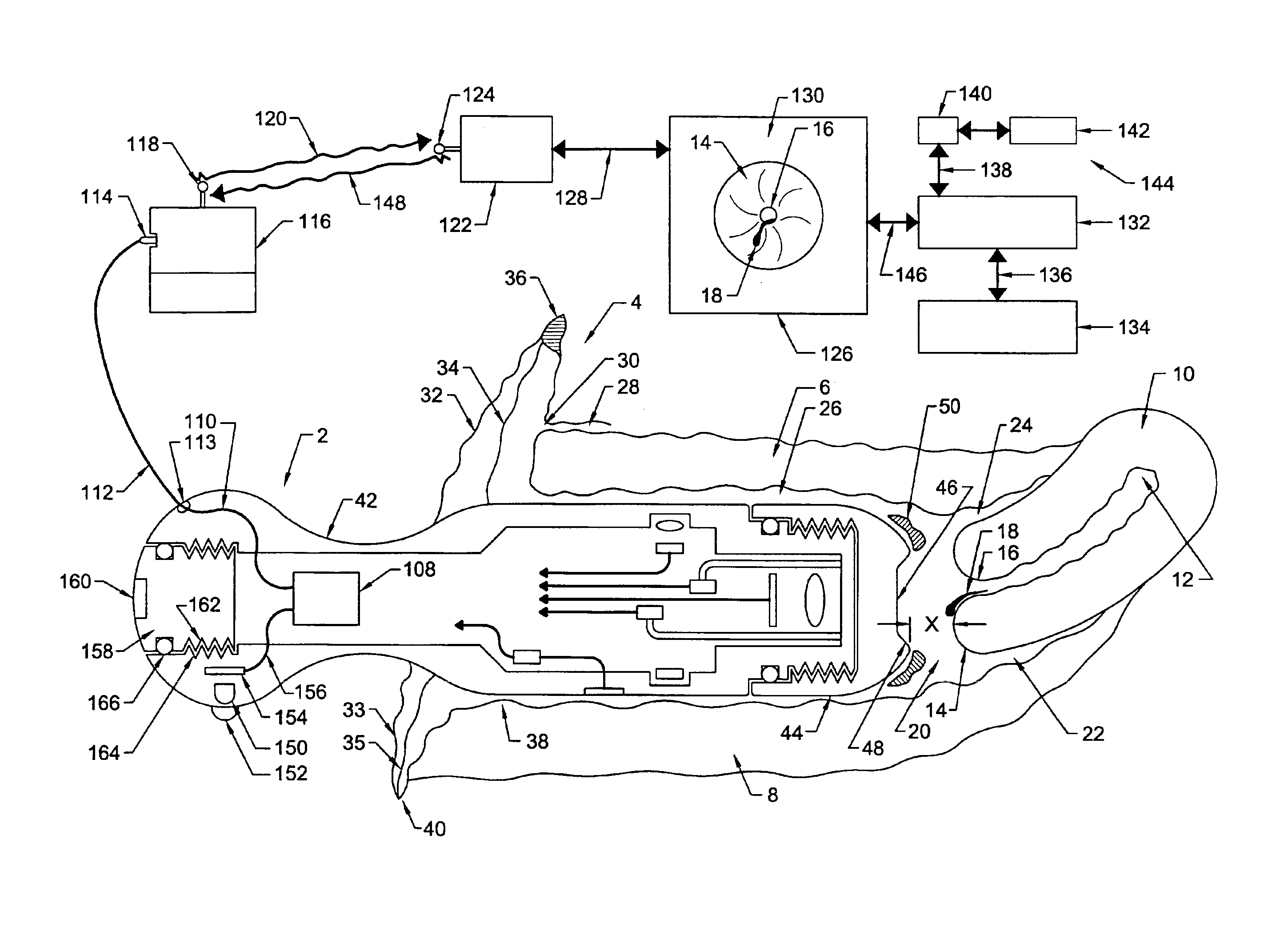 Personal pelvic viewer