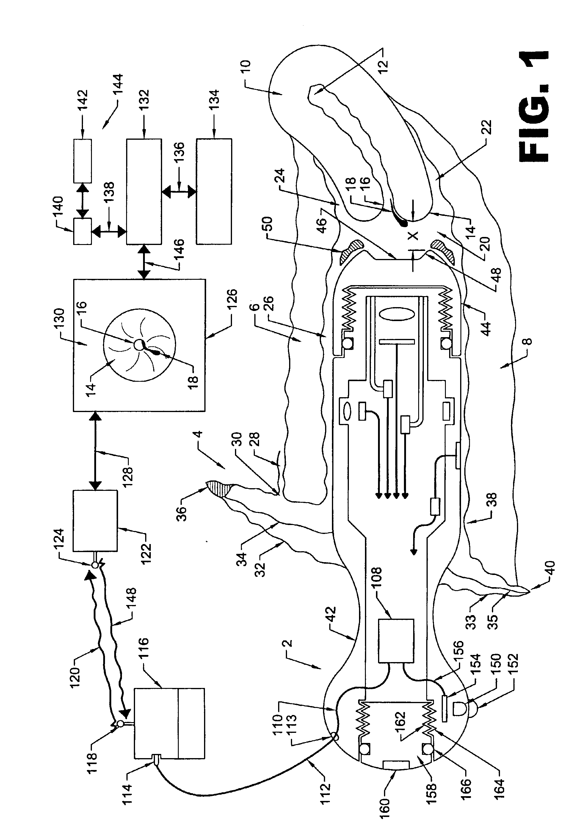 Personal pelvic viewer