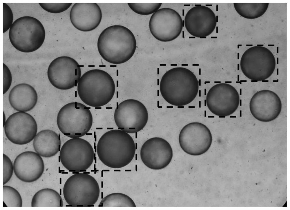 PD-L1 targeting polypeptide as well as preparation method and application thereof