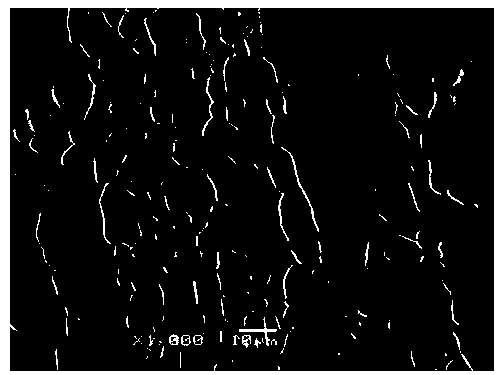 Double-phase stainless steel metallographical corrosive liquid formula and application method thereof