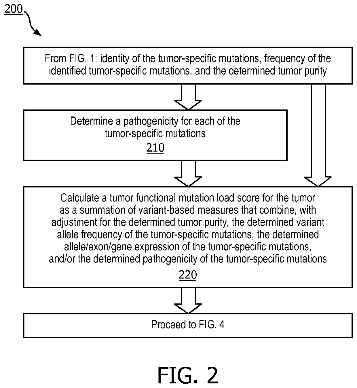 Tumor functional mutation and epitope loads as improved predictive biomarkers for immunotherapy response