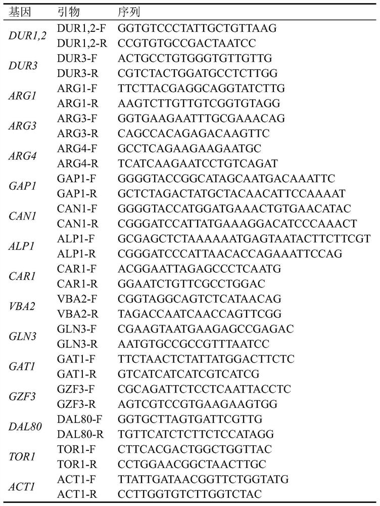 A method to localize gzf3 to the cytoplasm to reduce urea accumulation in rice wine yeast