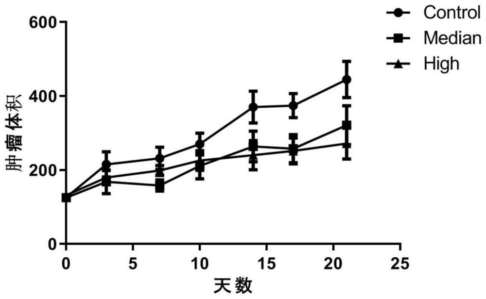 Application of nicergoline and derivative thereof in preparation of medicine for treating tumors