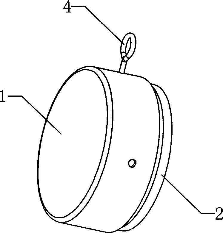 Glass smashing device for emergent escape